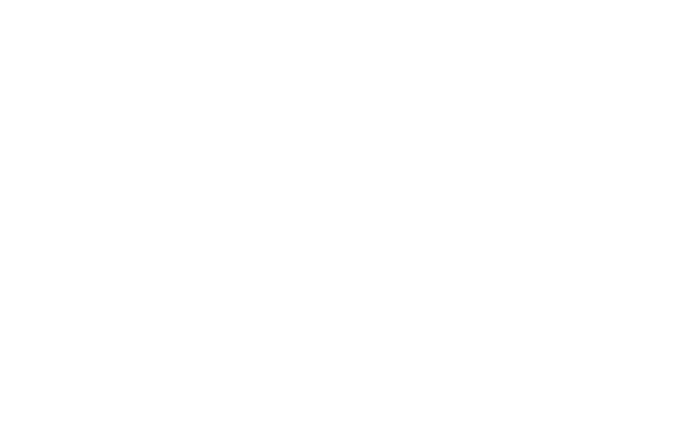 Raquel Stein – Interior Designer and Home Improvement.